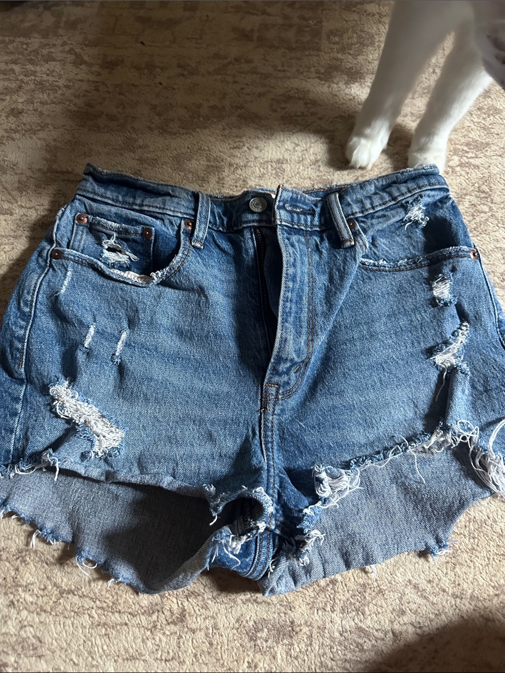 Abercrombie Curve Love Mom Shorts High Rise Distressed Denim Size 27/4